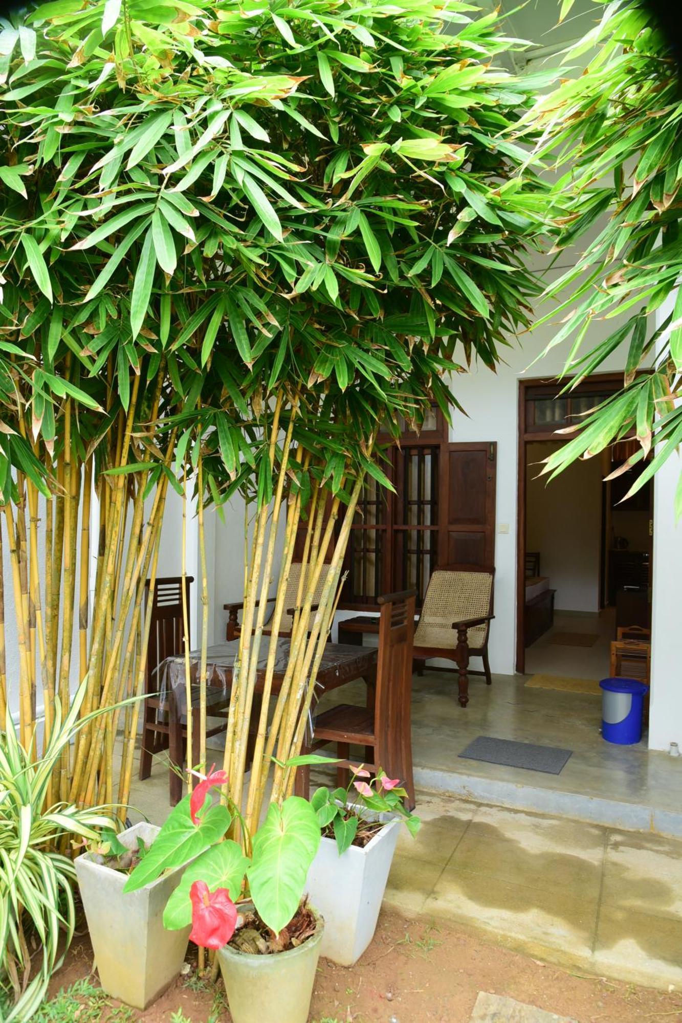 Tranquil Hotell Hikkaduwa Exteriör bild